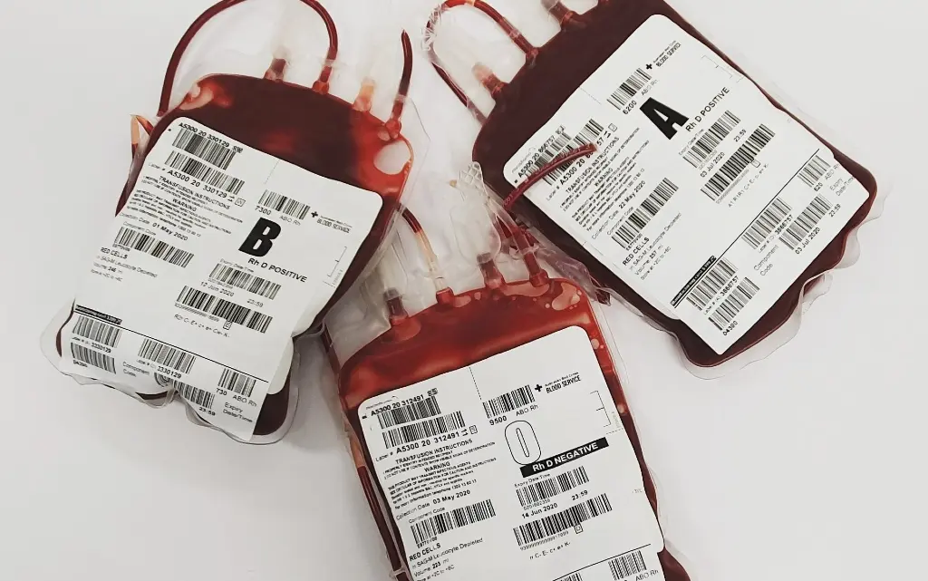Кръвната група: всичко, което трябва да знаем