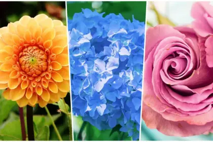 Тест: Избери цвете и опознай себе си