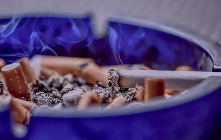 Как да се отървем от миризмата на цигари вкъщи с естествени материали?