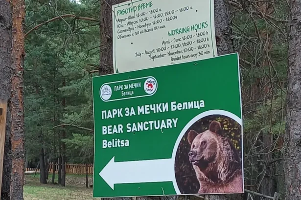 Един почивен ден, изпълнен с мечки и веселие